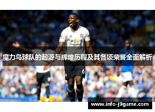 魔力鸟球队的起源与辉煌历程及其各项荣誉全面解析